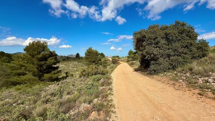 Discover the Serene Nature Trail, adorned with a Clear Blue Sky and Lush Vegetation all around