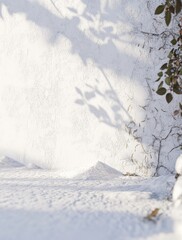 Snowy incline with shadows of leaves.  Soft, diffused sunlight casts intricate leaf shadows on pristine snow.  A gentle slope leads downwards.  Patches of dried leaves are visible at the base