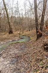 Landscape of an unusually snow-less february day in forest, frozen winter stream