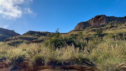 A breathtaking scenic view showcasing rolling hills beneath a vast, clear blue sky