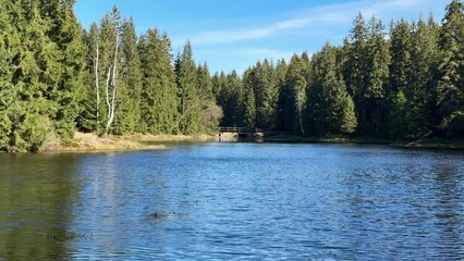 Experience the Serene and Beautiful Riverside Views Surrounded by Lush Evergreen Trees