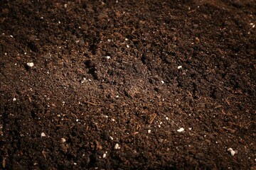 Texture of fresh soil as background, closeup