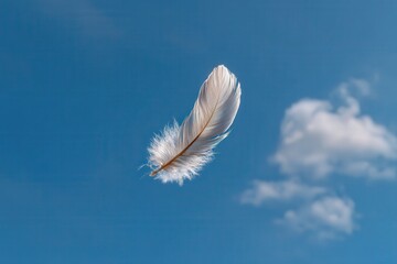 Delicate white feather floats against a bright blue sky.