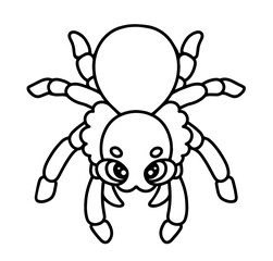 Cute cartoon spider with large eyes and symmetrical eight legs, featuring a two-part body with head, abdomen – Halloween-themed insect for kids, decorations, crafts, arachnid.