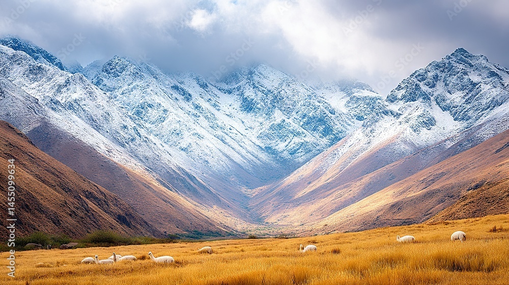 Poster a flock of sheep nibbling on parched pasture in front of snow-capped mountains