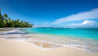 pristine tropical beach with turquoise ocean and gentle waves rolling onto shore