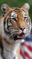 Fototapeta premium Close-up portrait of a tiger with open mouth, showing fur details and whiskers, vibrant colors and green out-of-focus background.