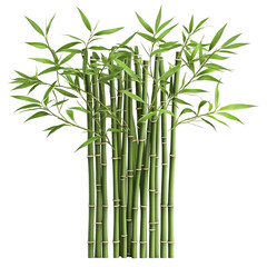 Lush Bamboo Cluster (1)