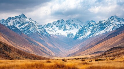   A view of distant mountains with brown grass in the foreground and background