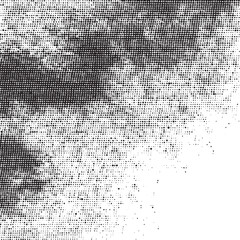 A textured grayscale displays a blend of white and black dots.