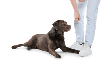 Woman training her dog on white background, closeup
