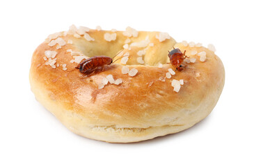 Cockroaches crawling on salted pretzel against white background