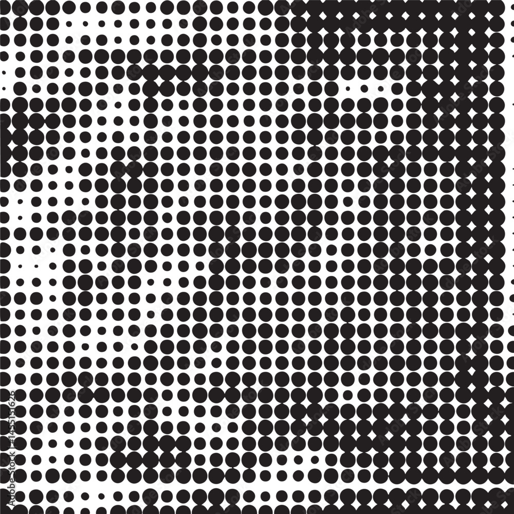 Poster a grayscale portrait reveals a subtle fragmented human face through numerous overlapping dots.