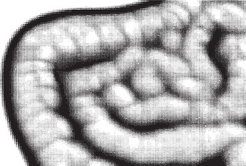 A grayscale portrait depicts a close-up of a face with distorted features.