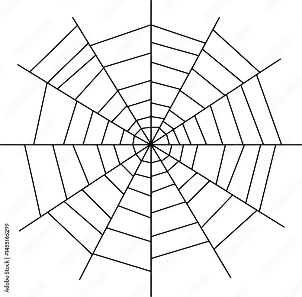 Poster spider web vector illustration with radial and circular lines detailed design for graphic projects a