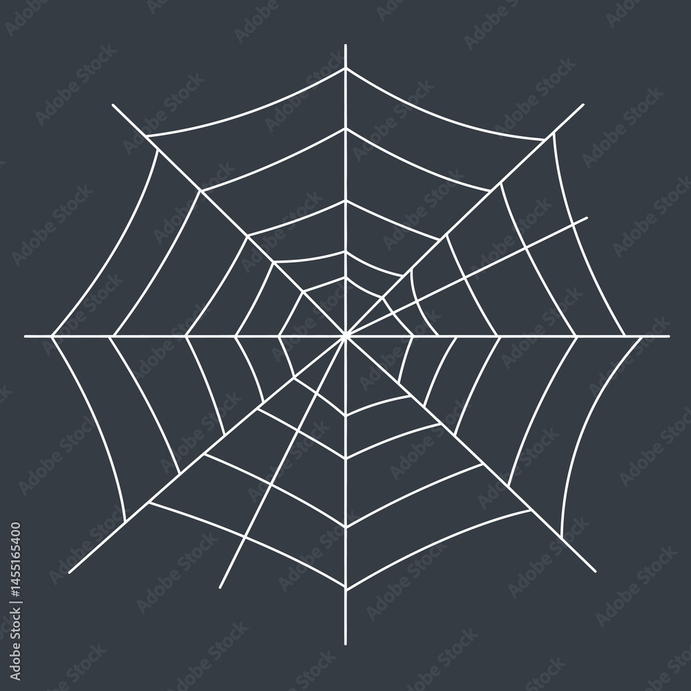 Poster spider web vector illustration with white lines on dark square background for nature and design proj