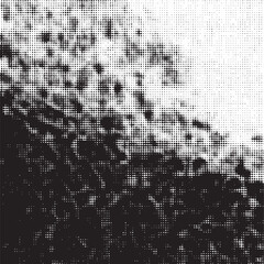 A textured black-and-white landscape fades into a gradient sky.