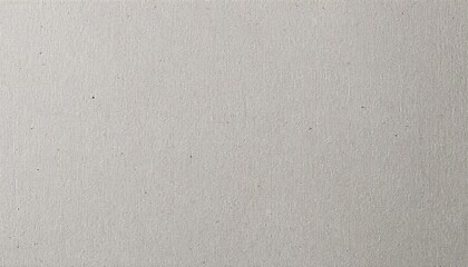 Fototapeta premium eco friendly blank light grey recycled craft paper for the environment to be used as a background or backdrop