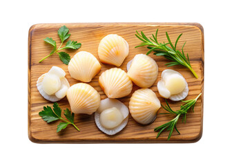 Delicious Fresh Scallops on Wooden Cutting Board with Parsley and Rosemary
