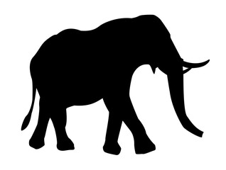 African elephant with tusk silhouette