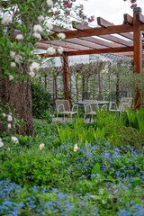 garden in the garden