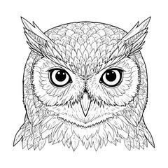 owl face. mandala style. illustration. coloring page for adult