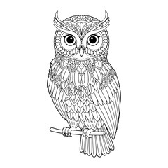 owl on a branch. hand drawn coloring illustration vector