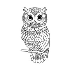 owl on a branch. hand drawn coloring illustration vector