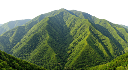 Green Mountain Range Scenery Lush Forest Landscape