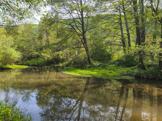 Iskar river near Pancharevo lake, Bulgaria