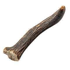 Pet Safe Antler Chew Toy Natural Browns and Durable Isolated on Transparent Background