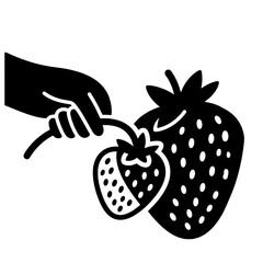 A hand picks a strawberry from a stem, showcasing two strawberries: one dark, one light.  Vector art, black and white.