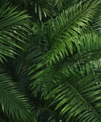 Intricate palm leaf texture, vibrant green hues, tropical detail ,  close-up,  picture,  green