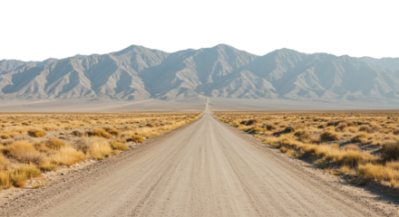 Driving on Desert Road to Distant Mountains Travel and Adventure