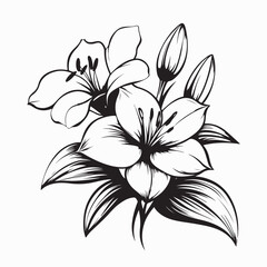 Elegant blooming lilies with buds Image vector isolated on white background.