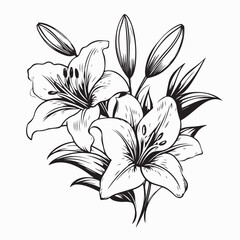 Lily flowers branch with flowers and buds vector illustration on white background