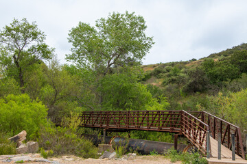 Bridge at Mission Trails