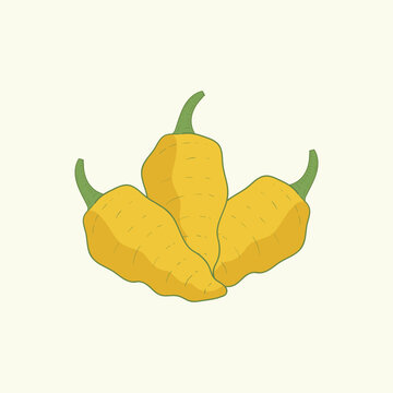 Datil pepper vegetables flat design cartoon illustration
