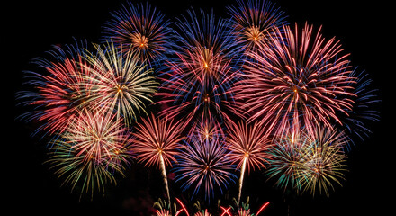 Colorful fireworks exploding in the night sky  