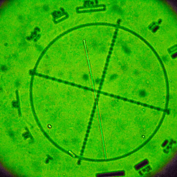 Microscopic view of one asbestos fiber