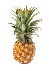 Fototapeta premium a pineapple on a white background