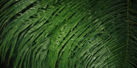Fototapeta premium Intricate palm leaf veins, vibrant green, tropical texture , jungle, growth