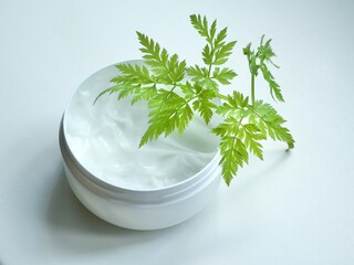 White container of beauty facial or body cream with greenery. Organic cosmetics product with natural ingredients.