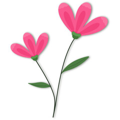 Blooming Beauty: Two vibrant pink flowers dance with delicate petals, connected by elegant green stems, radiating an aura of freshness and springtime joy.