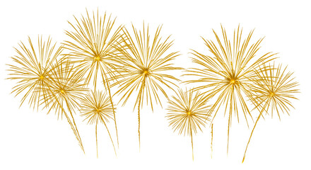 Fototapeta premium Golden Fireworks Bursting on Transparent Background Celebration