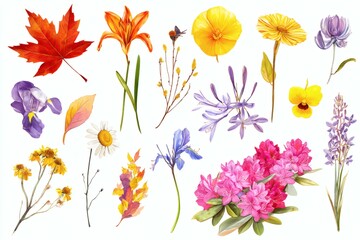 Fototapeta premium Watercolor Assortment on White Botanical Mix of Leafy Maple, Lily, and Diverse Flora