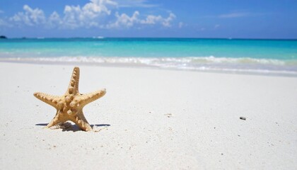 Beautiful ocean and beach