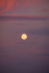 Obraz premium Moon after sunset