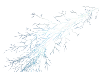 Snow-covered tree branches create a winter silhouette against the cold sky, a natural pattern of black twigs dusted with white