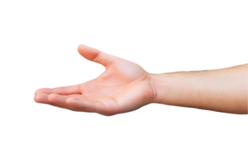 Close Up Of A Human Hand Showing The Palm On A Transparent Background